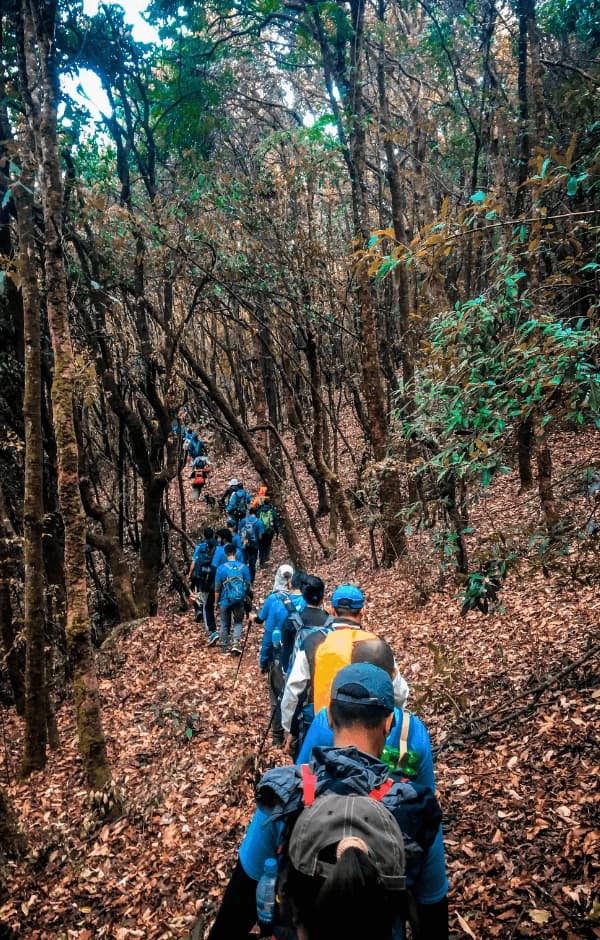 Hiking in Nepal