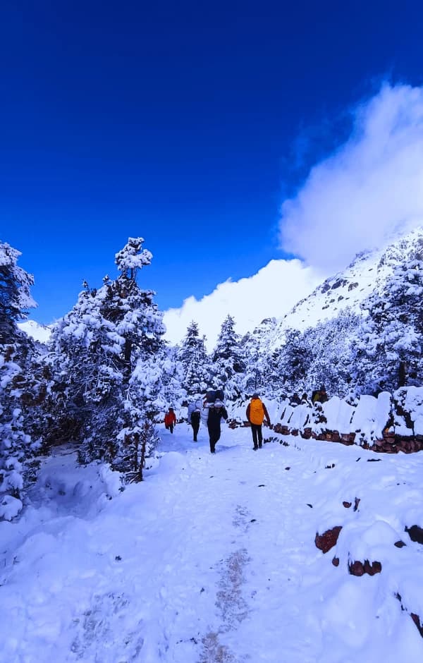 Trekking in Nepal