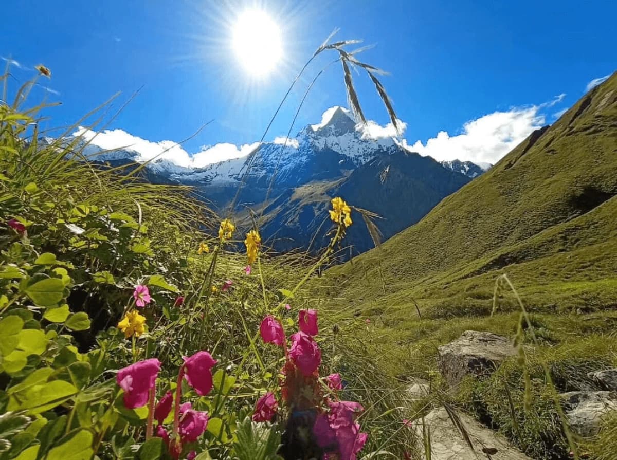 Short Annapurna Base Camp Trek