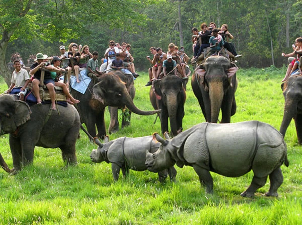 Chitwan Jungle Safari