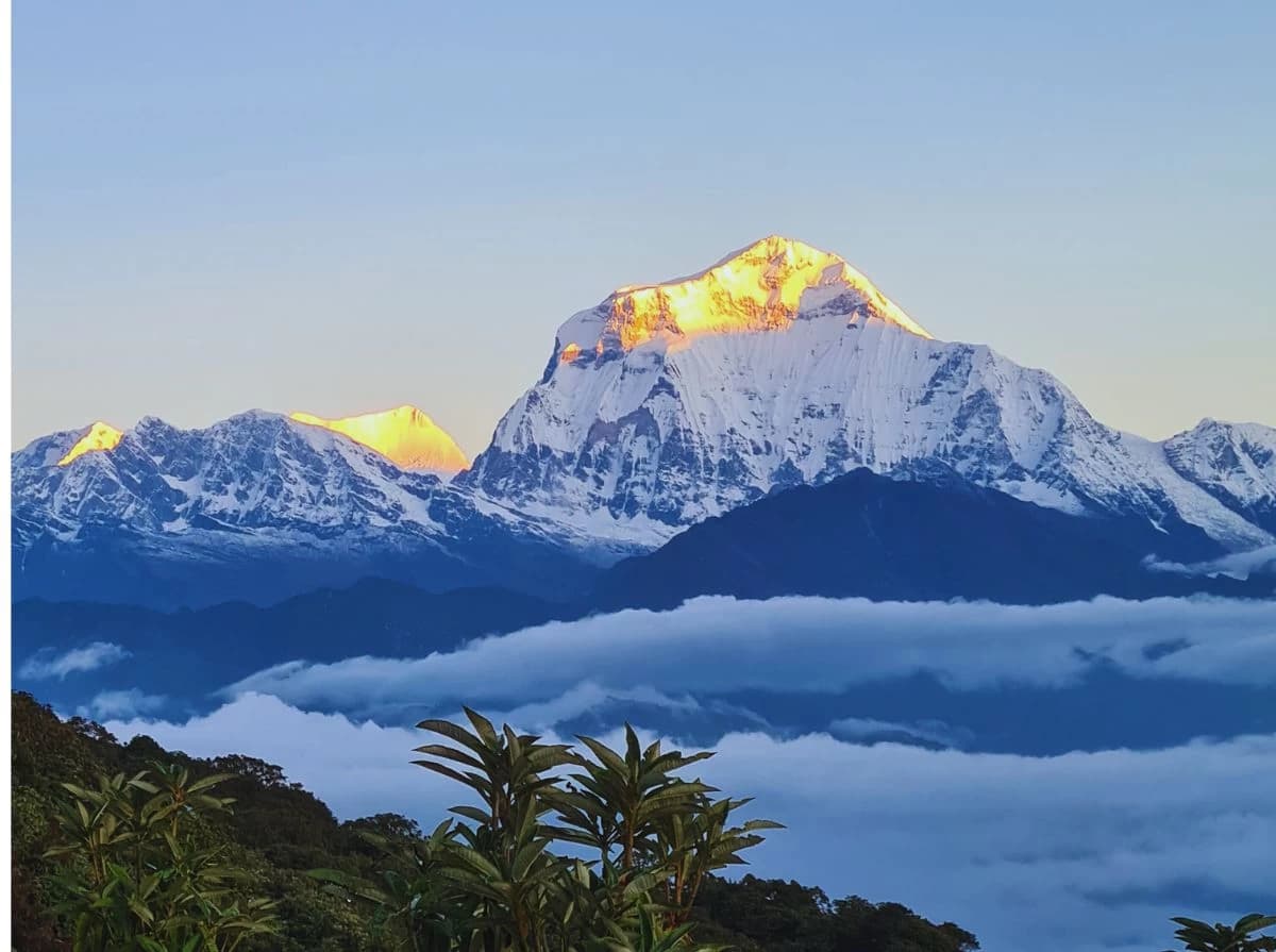 dhaulagiri-from-poon-hill