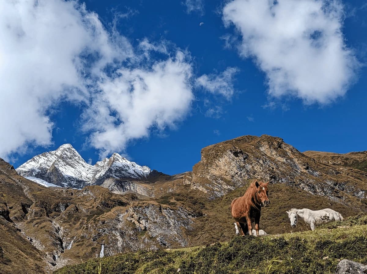 Manaslu Circuit Trekking