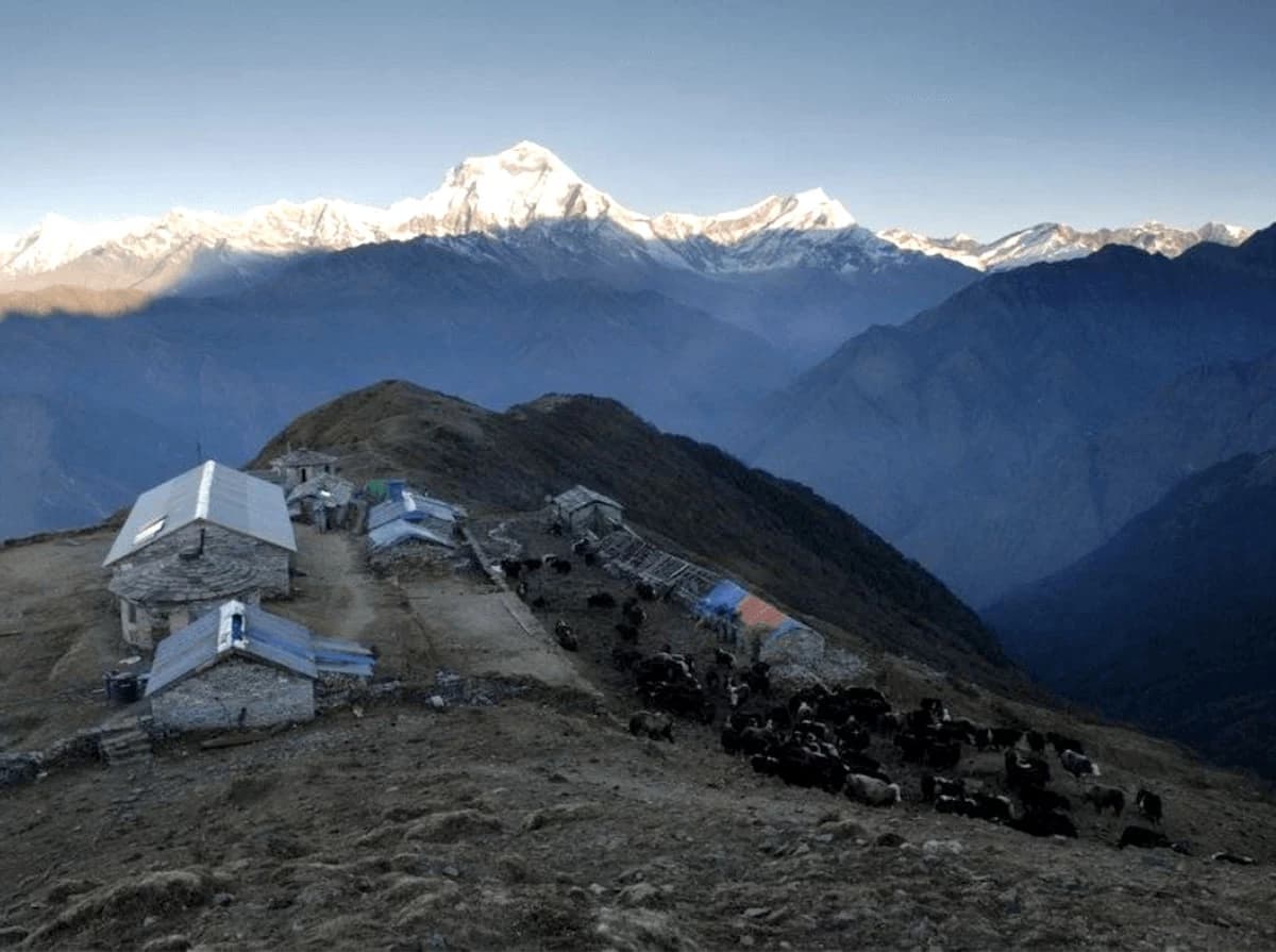 Khopra Lake Trek via Jhinu Danda Hot Spring