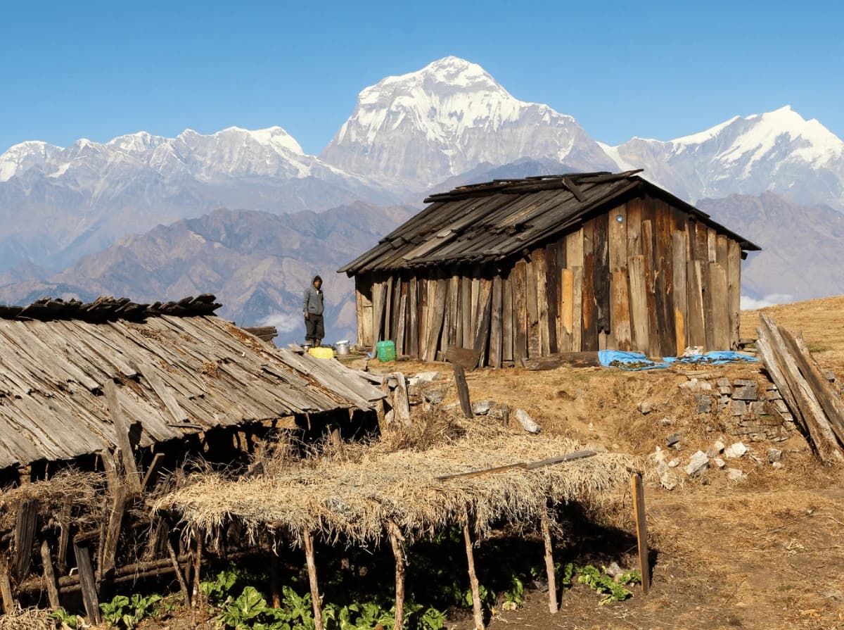 Mohare Danda Trek