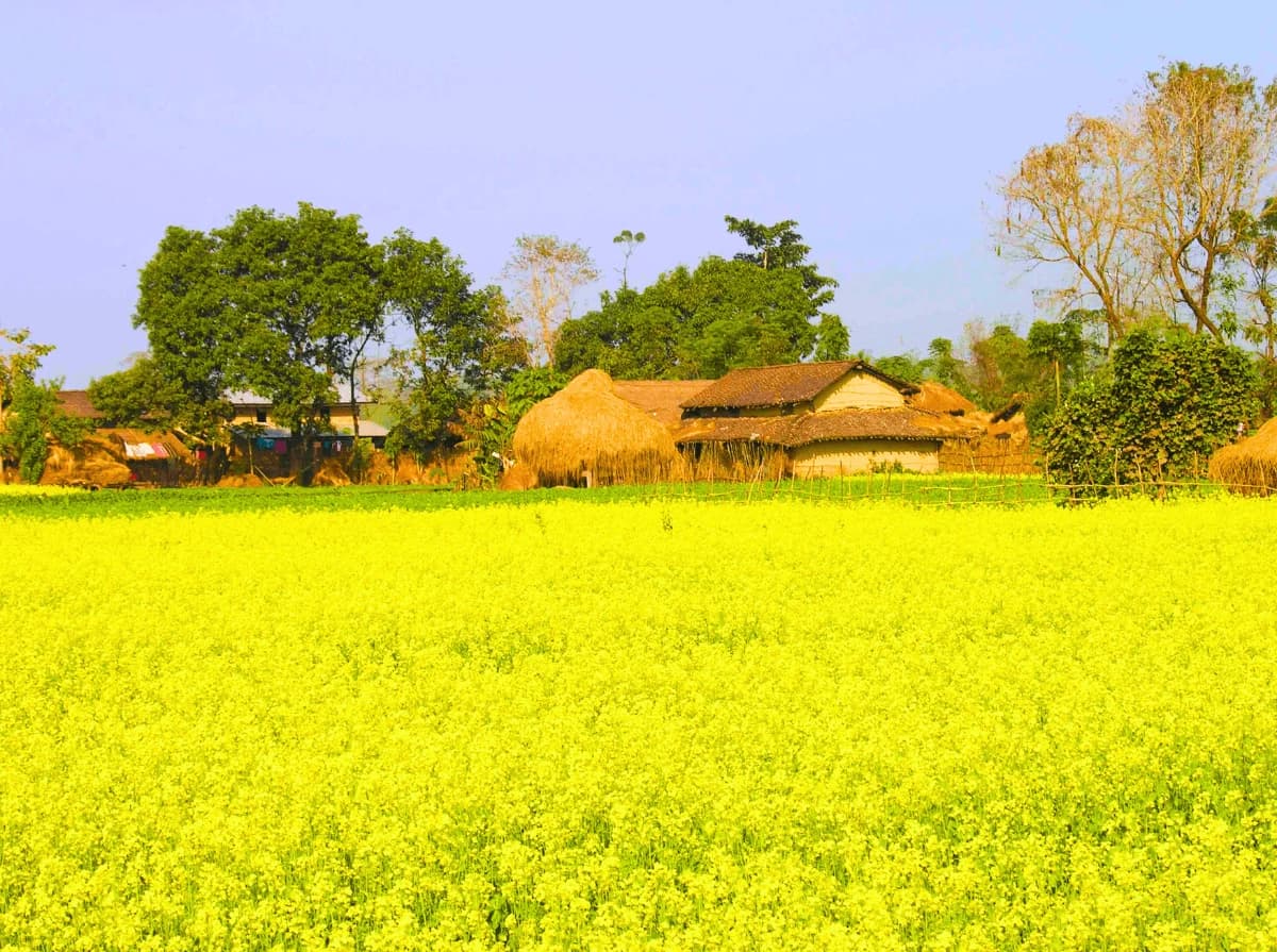 Bardiya National Park Safari