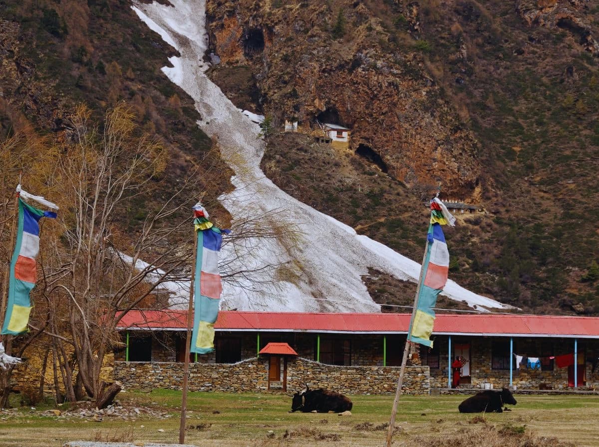 short-manaslu-base-camp-trek