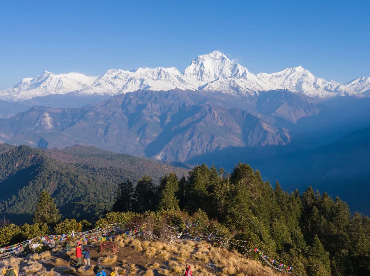 Ghorepani Poon hill Trek