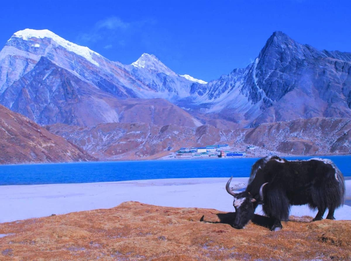 Gokyo Valley Trek