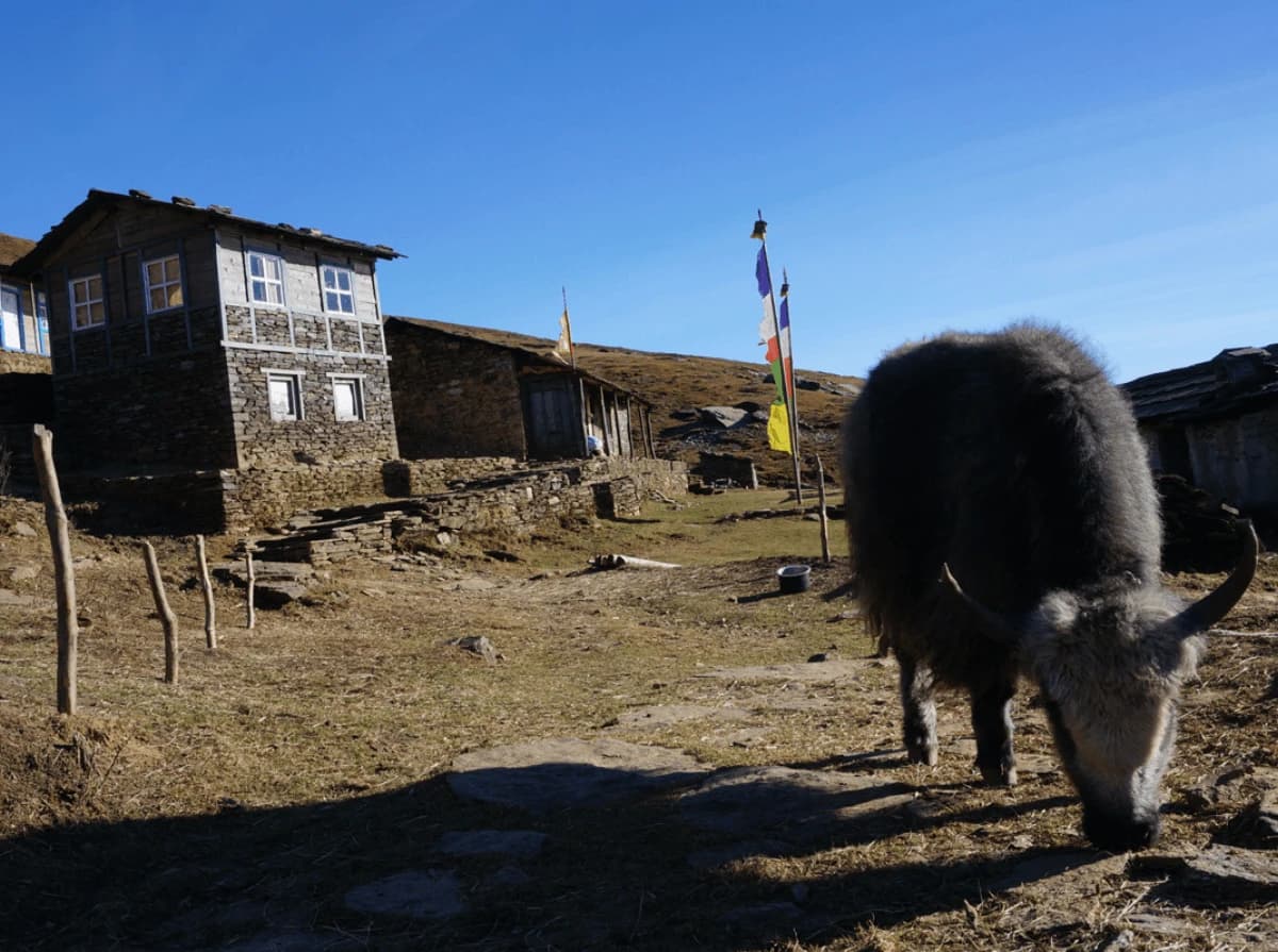 Pikey Peak Trek in Everest - 10 Day