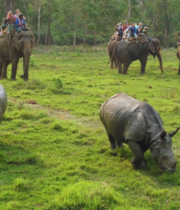 Chitwan Jungle Safari