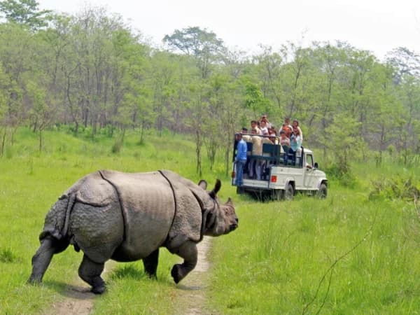 Chitwan Jungle Safari