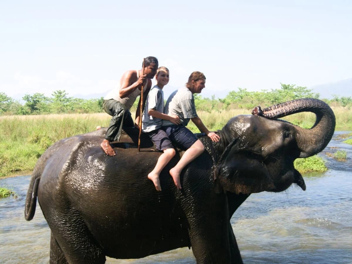 Elephant Bath In Chitwan