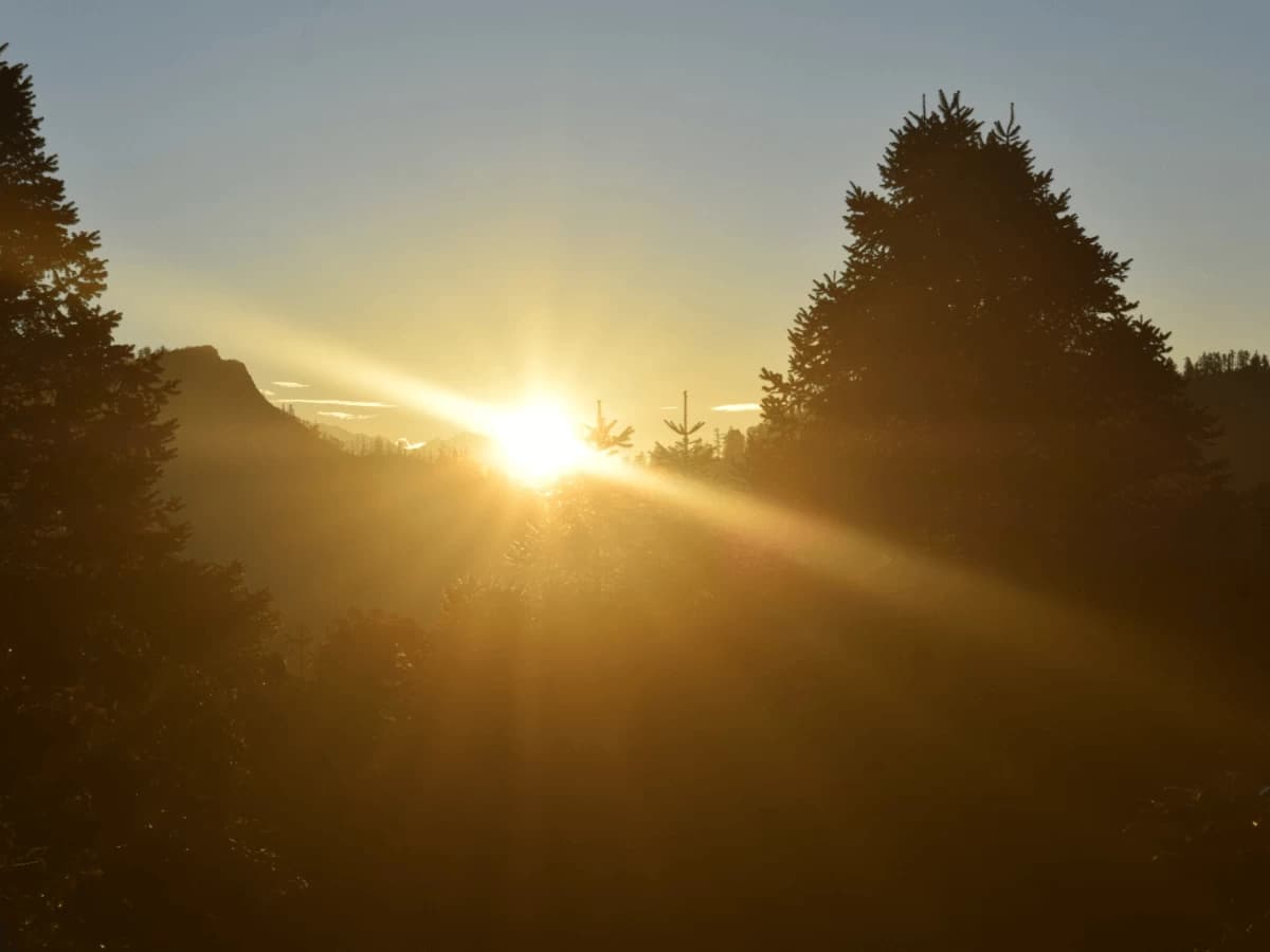 Ghorepani Poon Hill Trek Otn 3