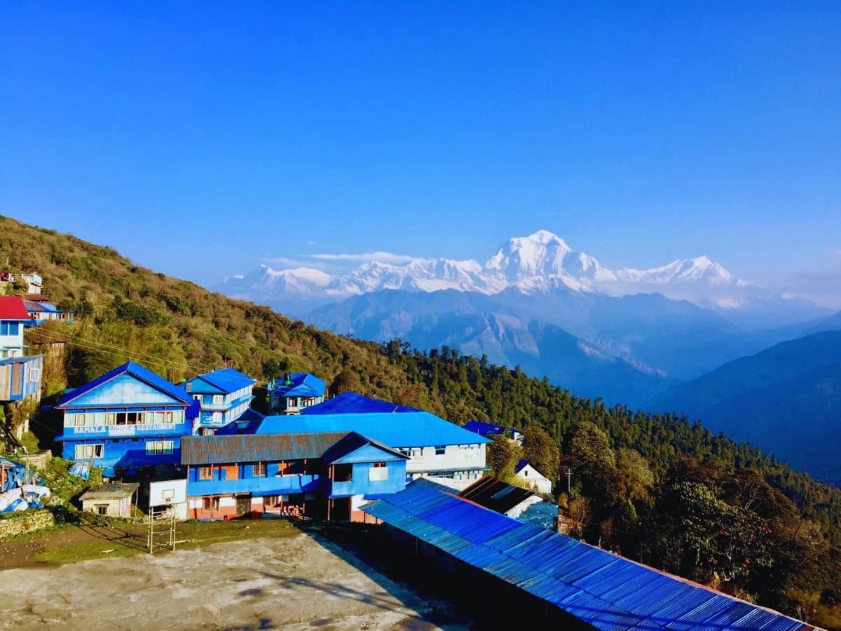 School Of Ghorepani