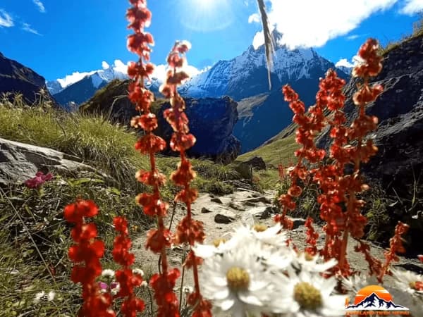 Annapurna Sanctuary Trek Overland