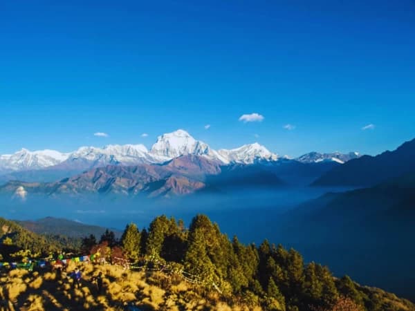 Mountain View From Poon Hill