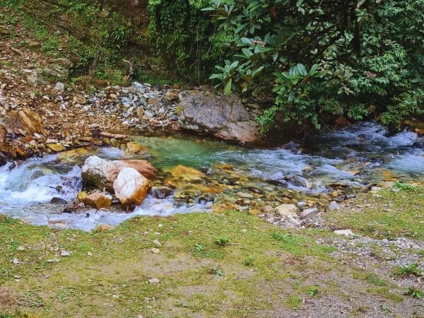 Natural Water Spring River