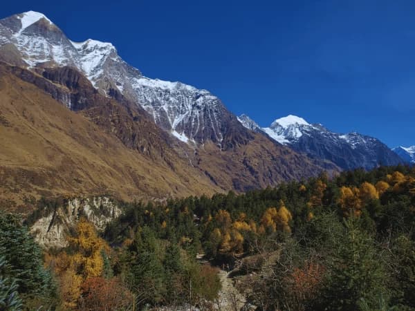 Short Manaslu Base Camp Hike 5