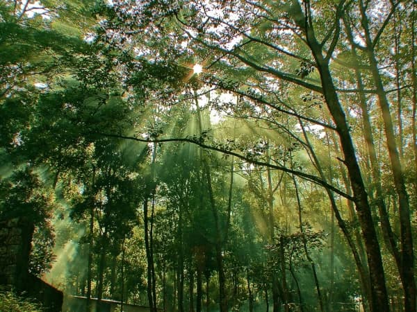 Sivapuri Nationalpark