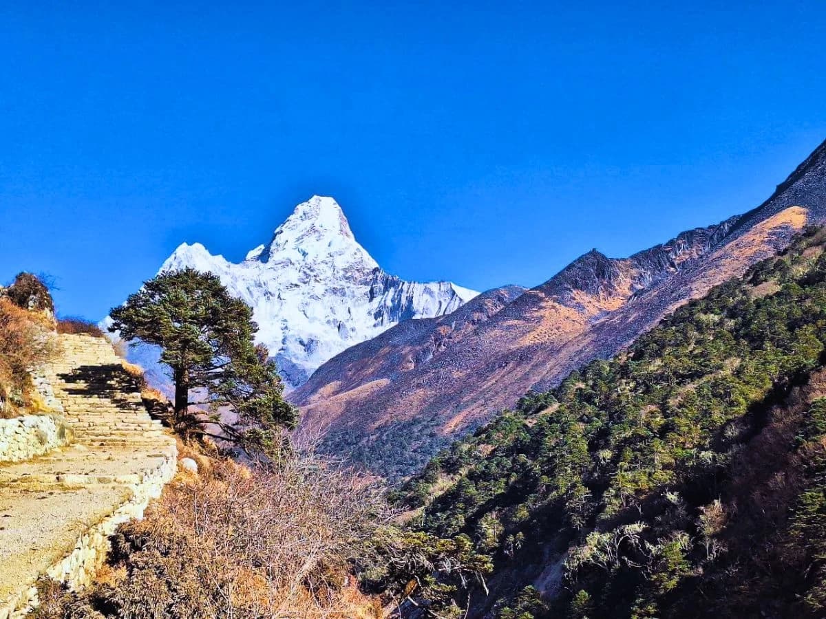 View Of Amadablam From Pangboche