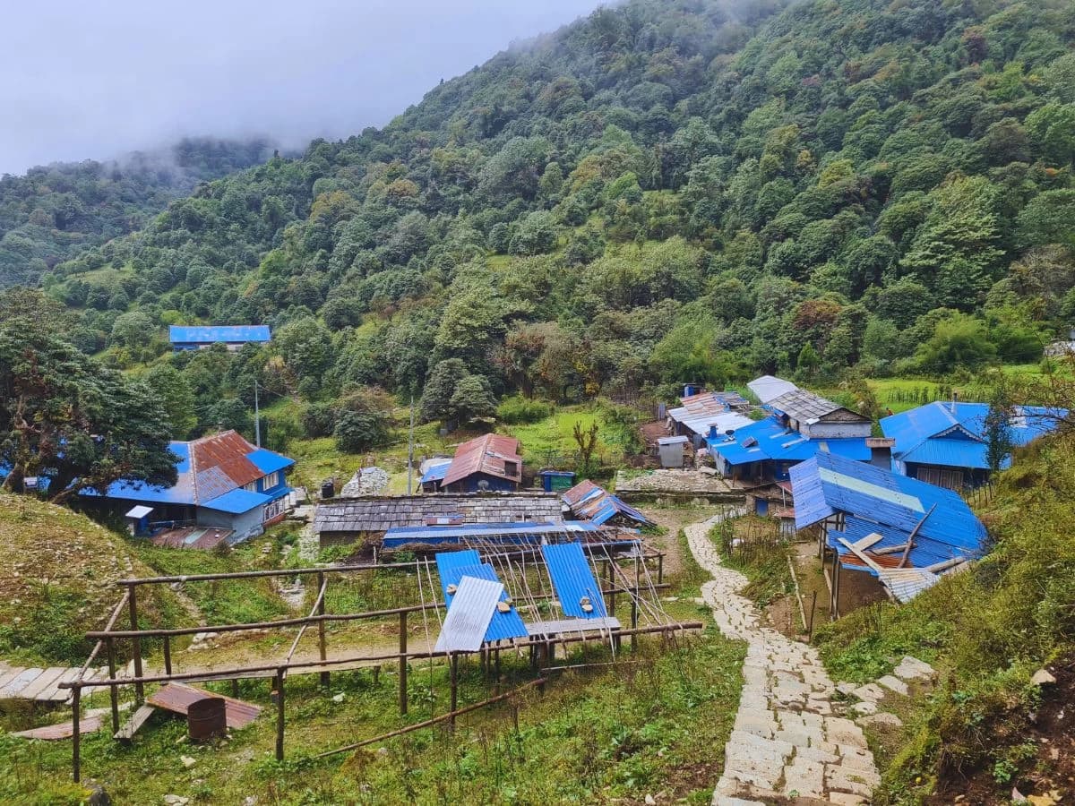 While Going Down From Ghorepani