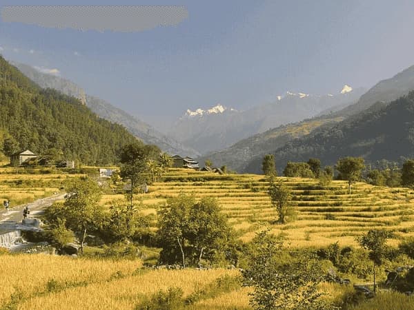 Why is the Manaslu Circuit a Less Crowded Trek in Nepal