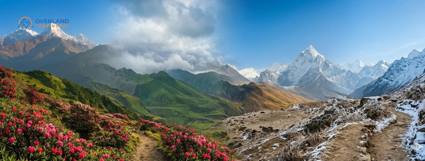 Spring, Autumn & Month Guide