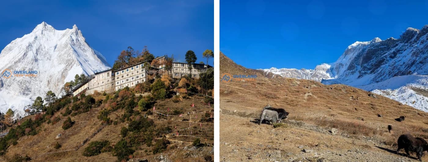 Mansalu Circuit Trek