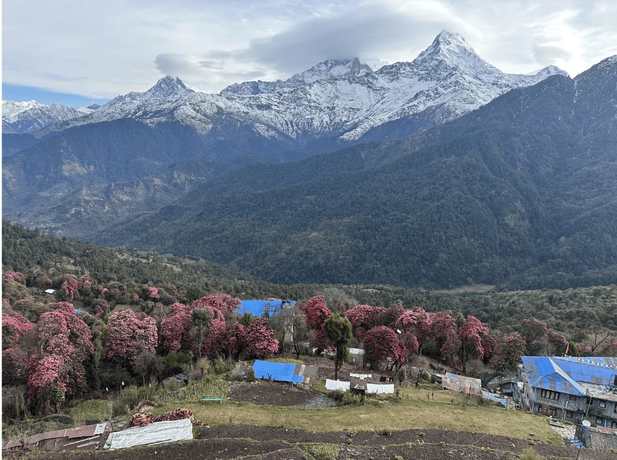 Beautiful Natural view from Ghorepani