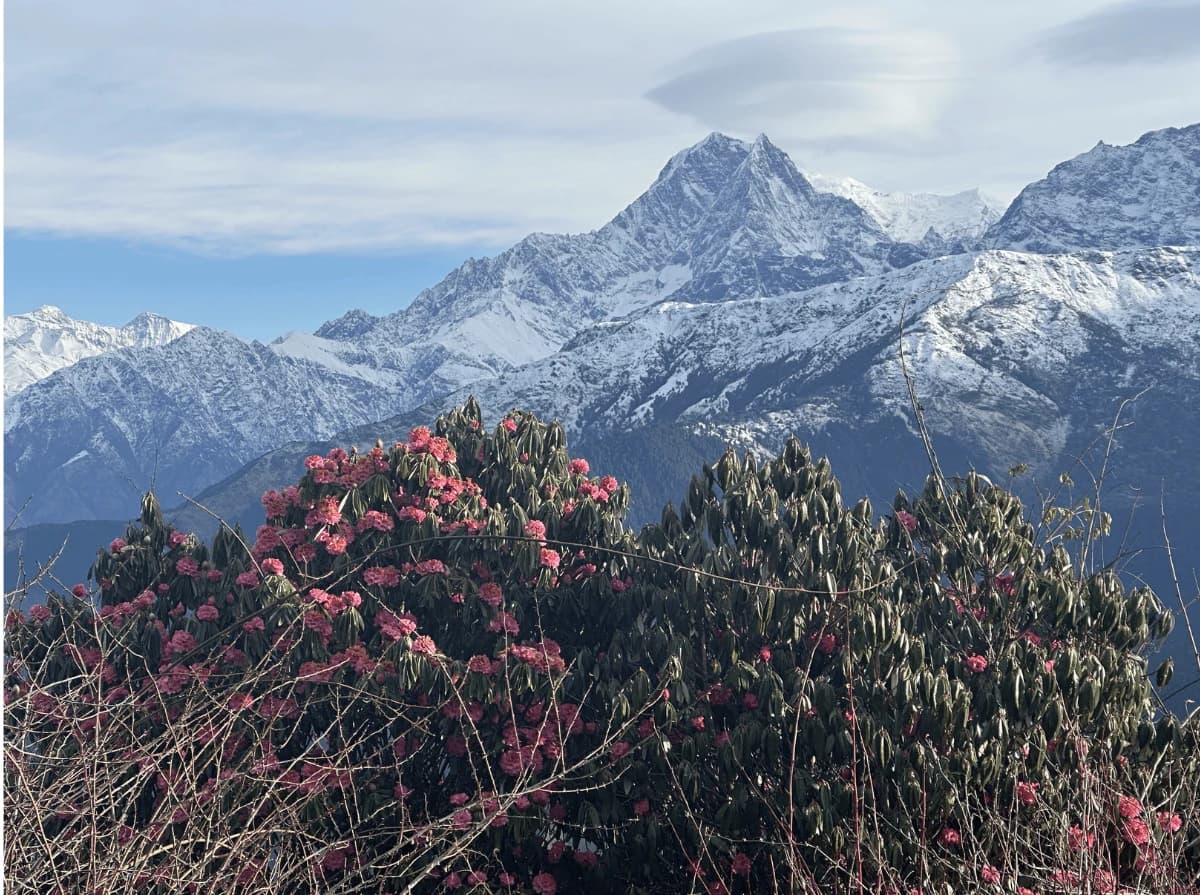 Annapurna Range view from Ghorepani Poon Hill