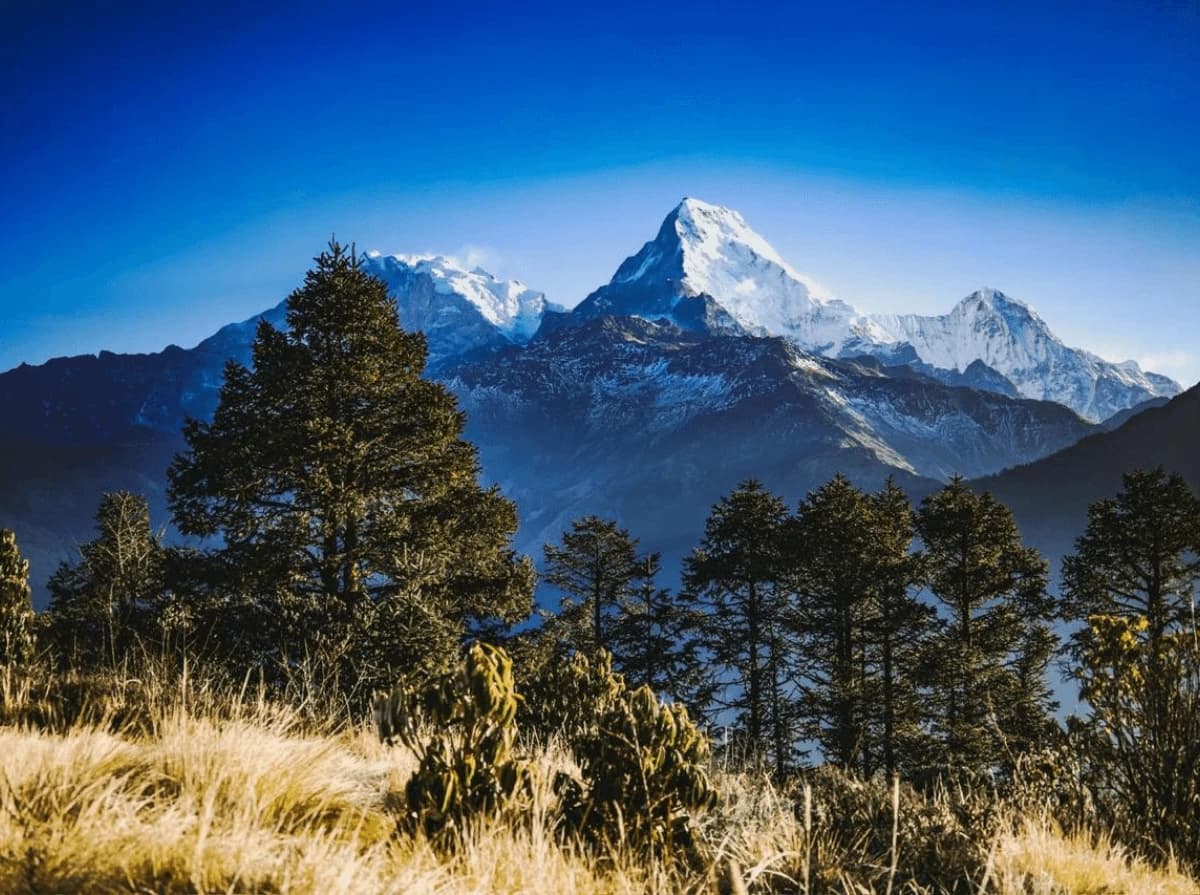 Poon Hill Yoga Trek