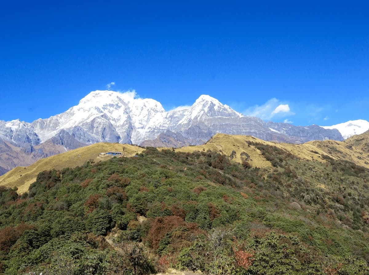 Mardi Himal Trekking