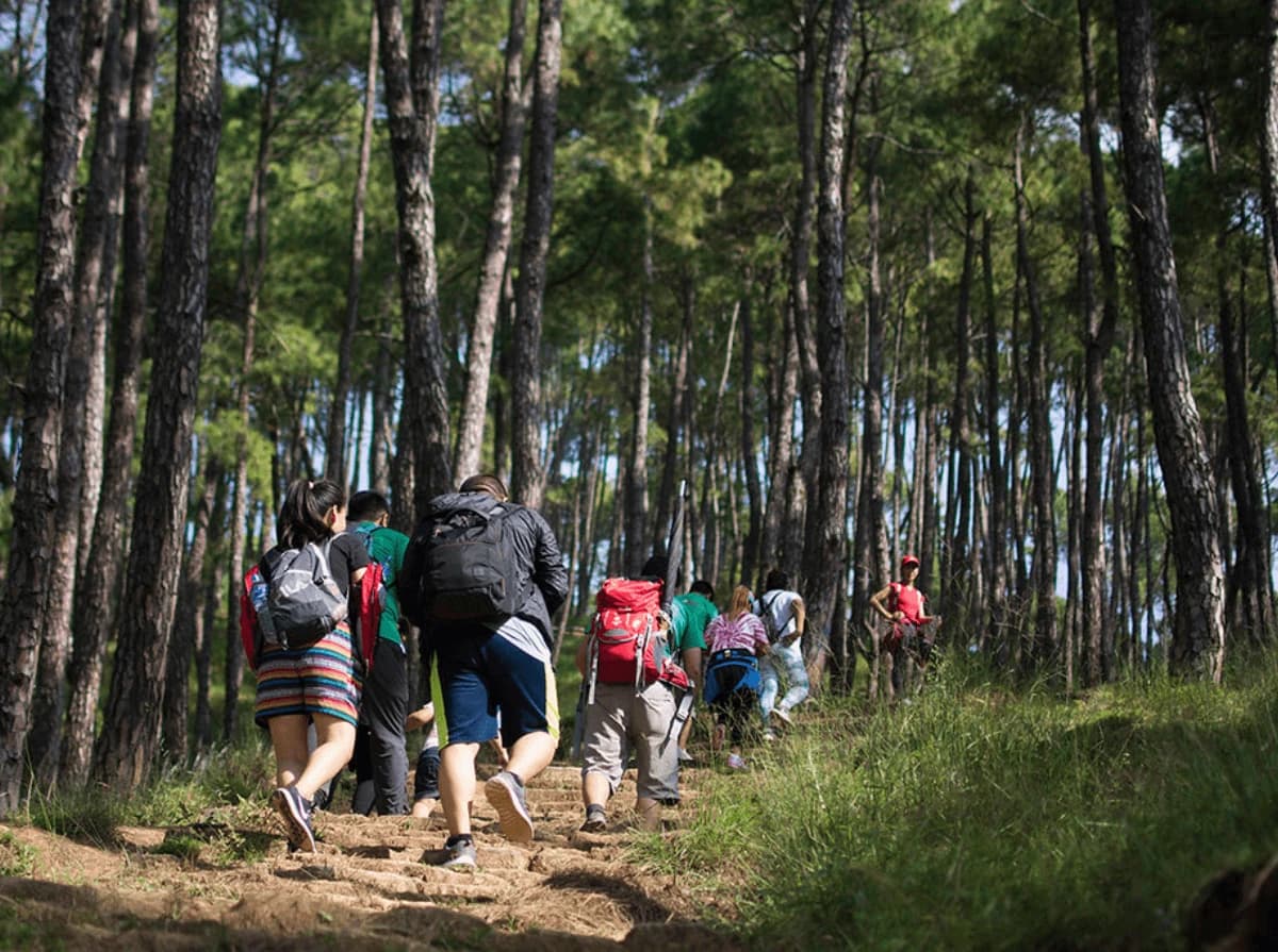 Hikers are heading to Champadevi view top