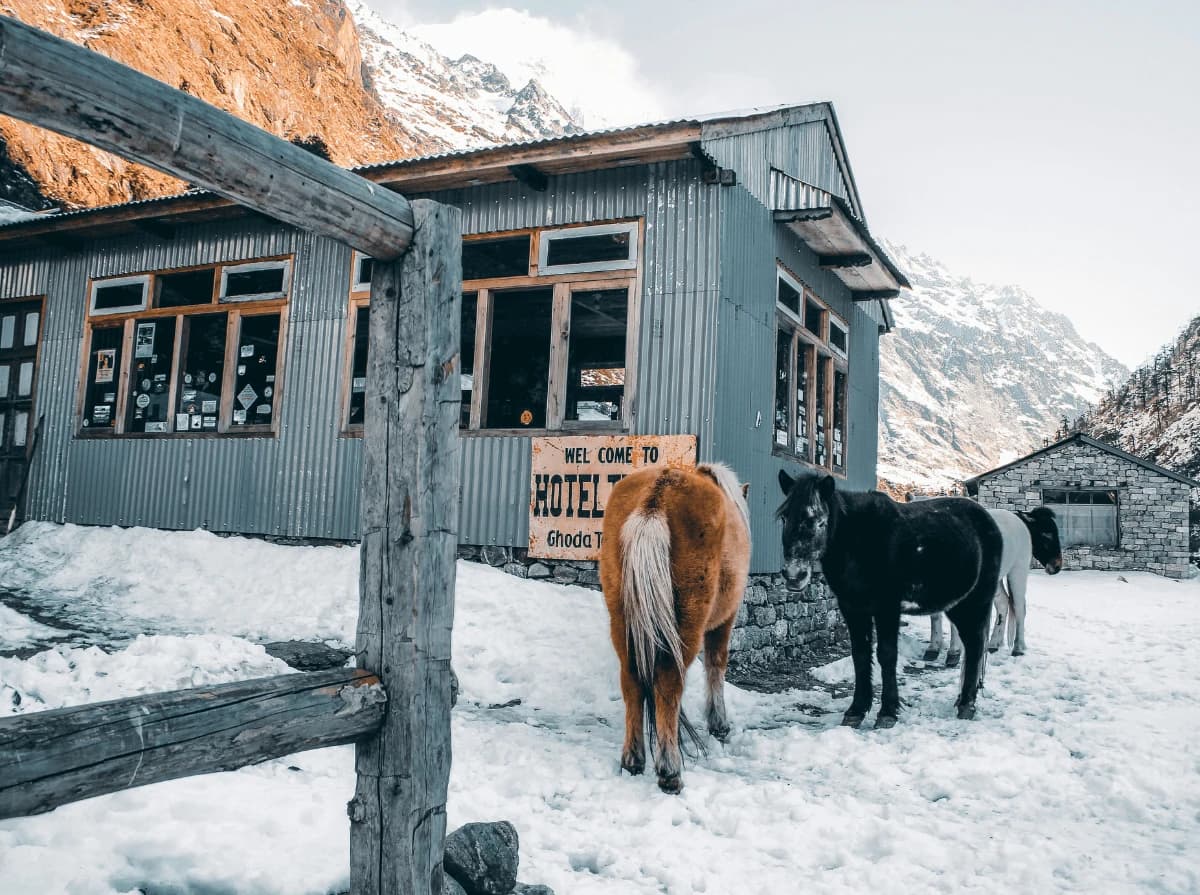 Short Langtang Valley Trek
