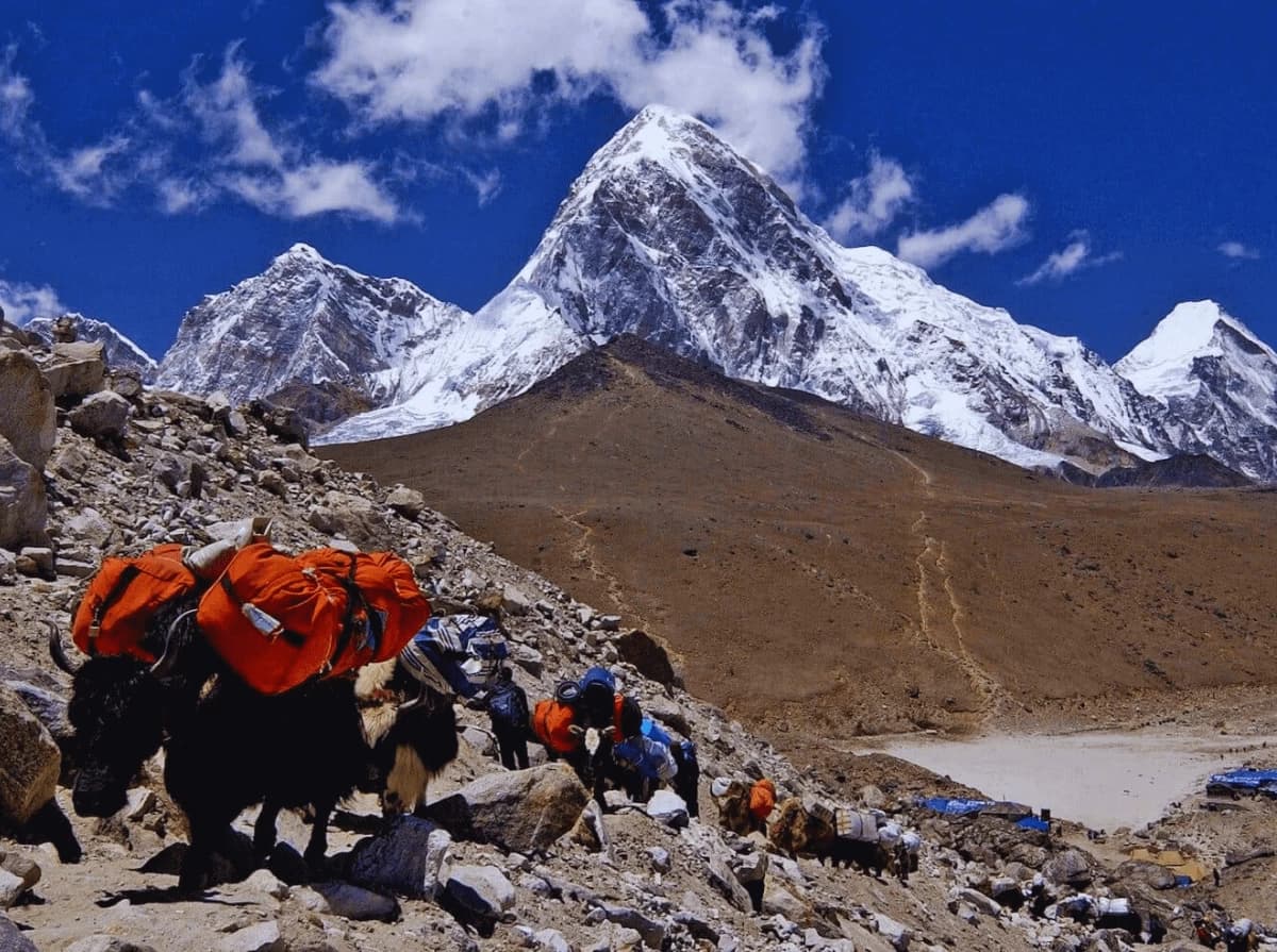 island-peak-climbing-with-everest-base-camp-19-days