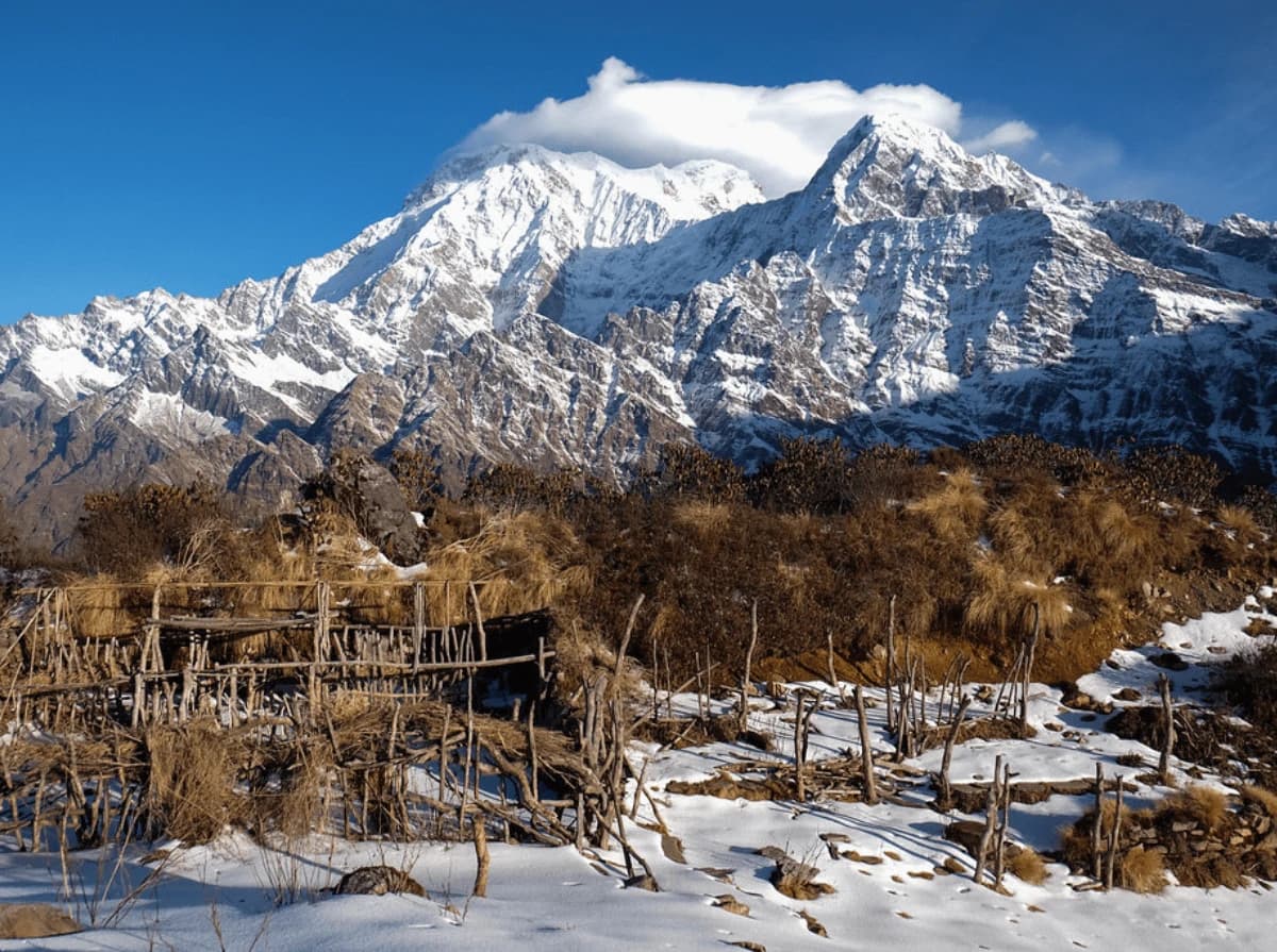 Mardi Himal Trekking