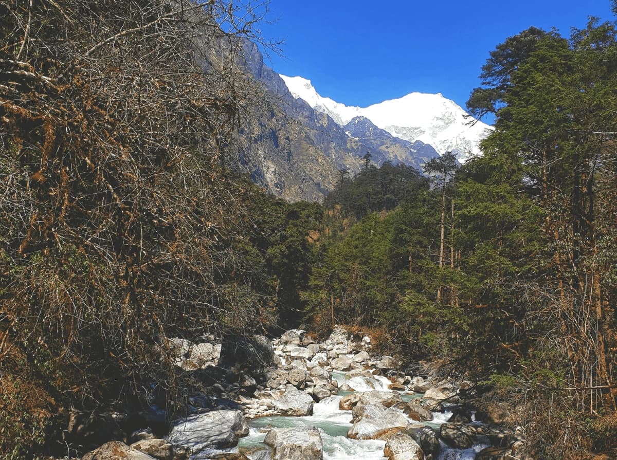 Short Langtang Valley Trek