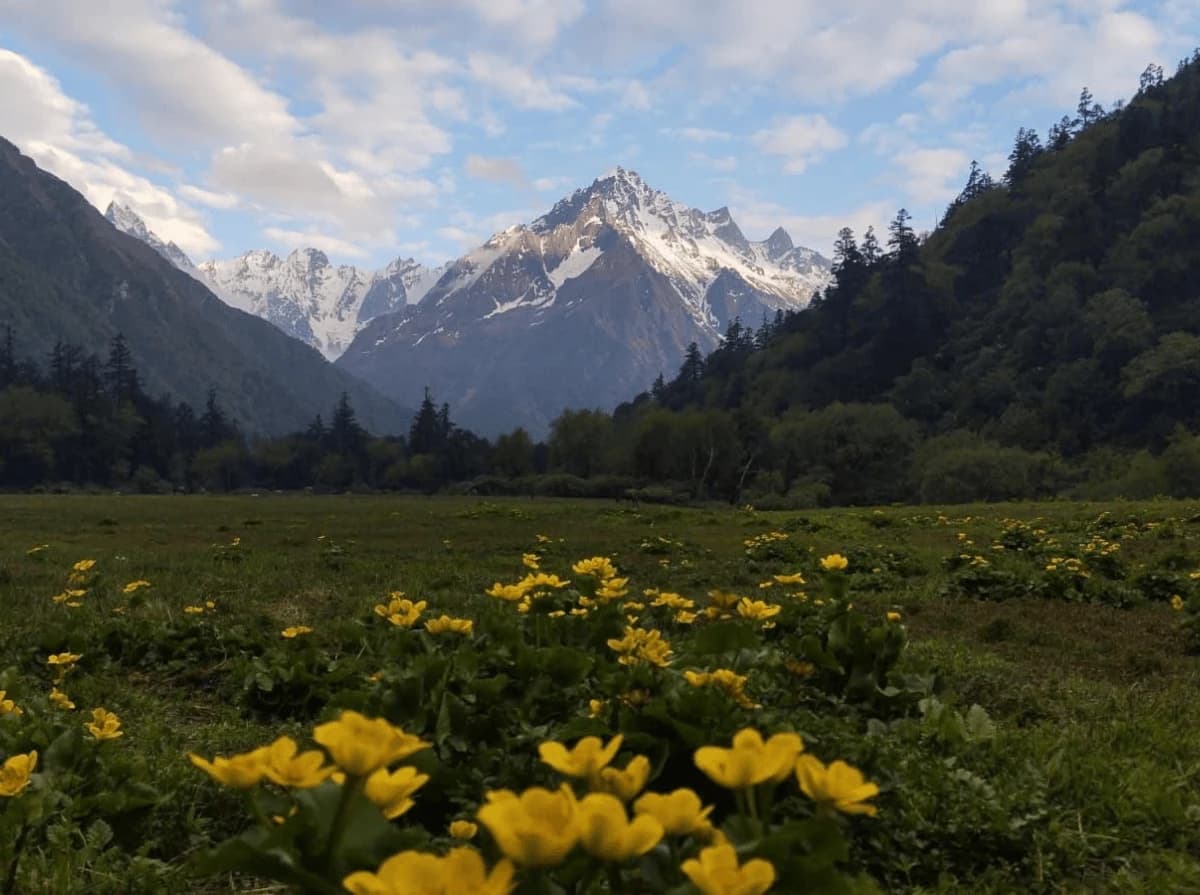 Breathtaking natural beauty along the Api Himal Trek featuring snow-capped mountains, lush forests, and pristine Himalayan landscapes in Far West Nepal