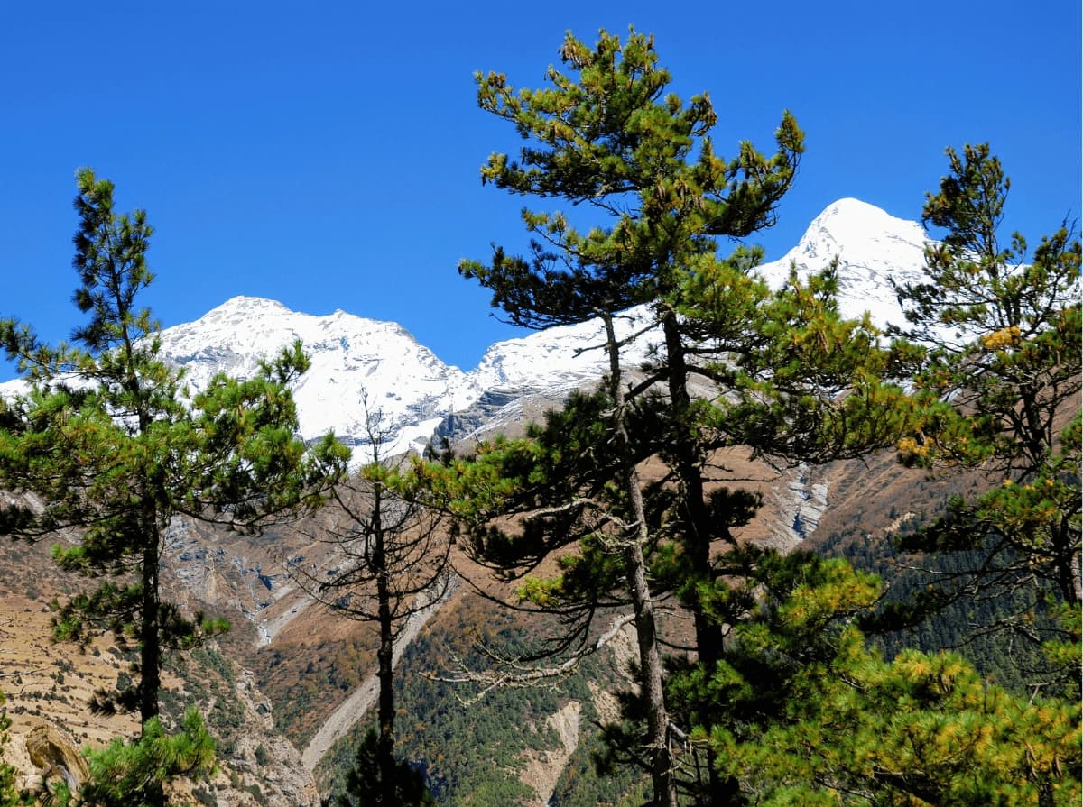 Pisang Peak Climbing - 15 Days