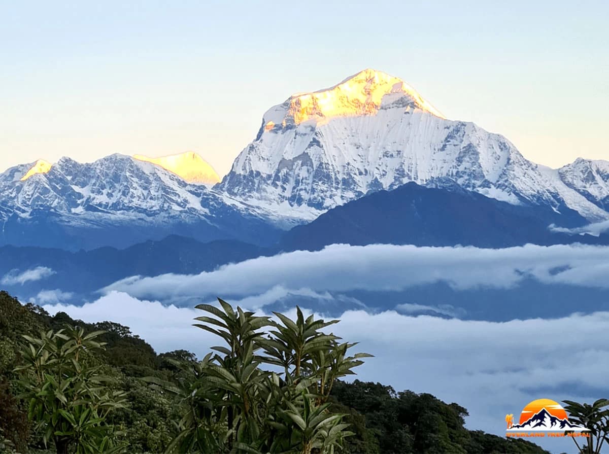 Annapurna Sanctuary Trek – 13 Days
