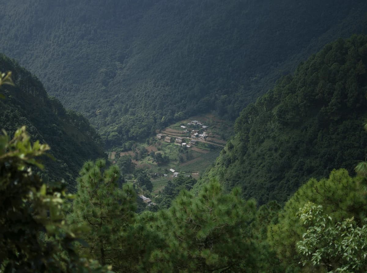 Local House view between Jungle