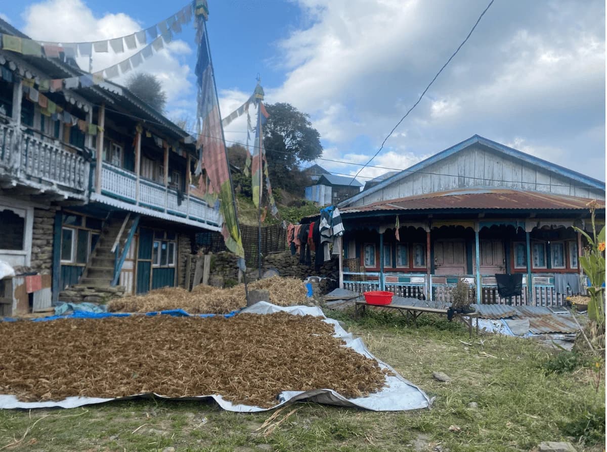 Langtang Circuit Trek