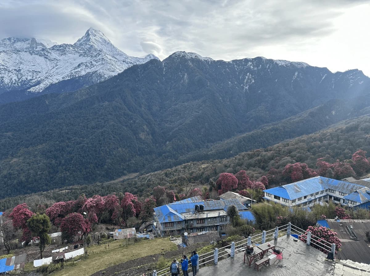 Lovely Teahouse of Ghorepani