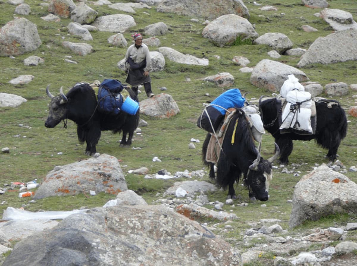Kanchanjunga Circuit Trek