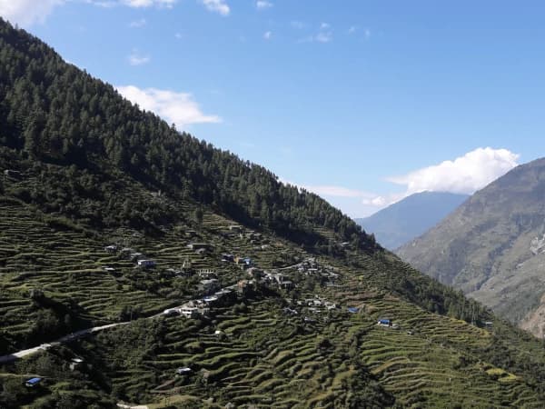 Bharkhu langtang