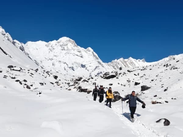 Clintes back from abc