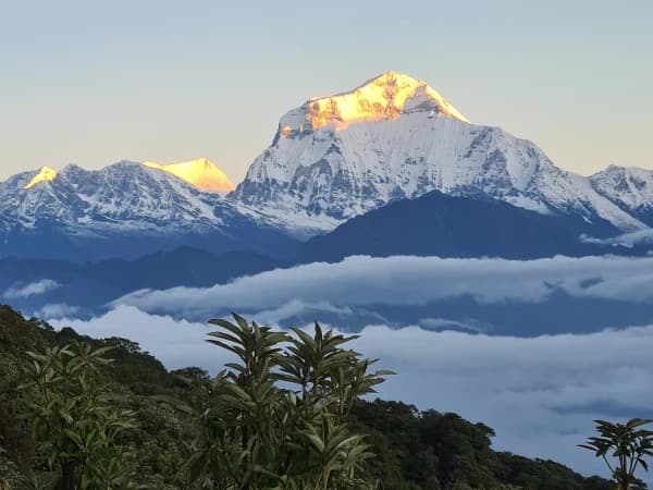 Dhaulagiri with nature