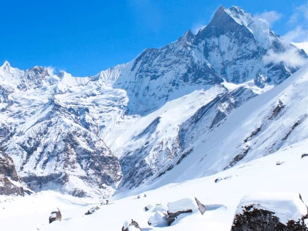 Fishtail mount view
