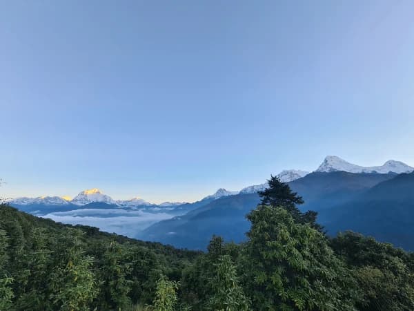 Green and white mountain