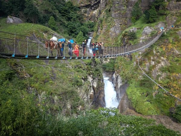 Suspension bridge